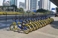 【10分钟科普下】新公司咨询费发票怎么开具_哔哩哔哩